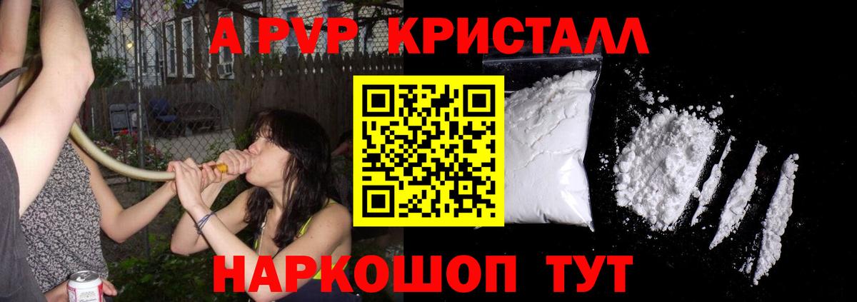 A PVP СК Тулун