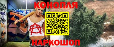 спайс Кимры