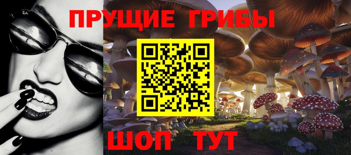 Тулун  Псилоцибиновые грибы Magic Shrooms  Вход с VPN 